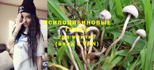 MESCALINE Медвежьегорск