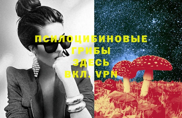 a pvp Медногорск