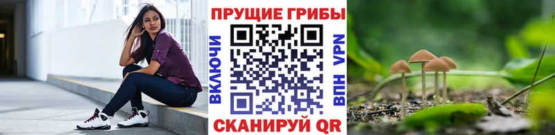 Галлюциногенные грибы мицелий  как найти наркотики  Чулым 